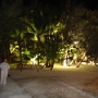 LE MERIDIEN DES PINS (1).JPG
