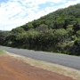 PROMENADE SUR L ILE (10).JPG