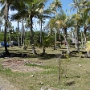 PROMENADE SUR L ILE (15).JPG
