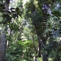 PROMENADE SUR L ILE (16).JPG