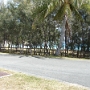 PROMENADE SUR L ILE (9).JPG