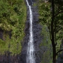 TAHITI (3).JPG