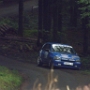 sprint 2011 (10)