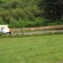 sprint 2011 (3)