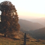 DSCF0756