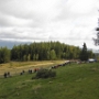 WRC FRANCE 2012 - 5 OCT (14)
