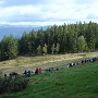 WRC FRANCE 2012 - 5 OCT (16)