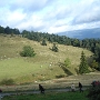 WRC FRANCE 2012 - 5 OCT (17)