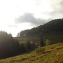 WRC FRANCE 2012 - 5 OCT (3)