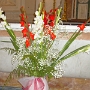 EGLISE (12)