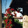 faymont (2)
