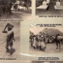 Mozambique (15)