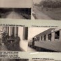 Mozambique (16)