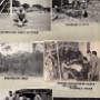 Mozambique (5)