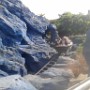 Chez Mickey (1)