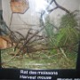 Nocturia Parc (12)