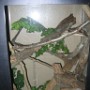 Nocturia Parc (6)