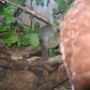 Nocturia Parc (9)