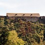 img808