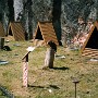 img810