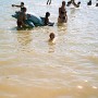 img902