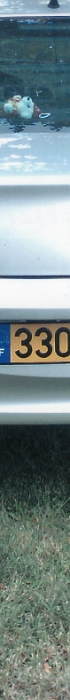 406 COUPE (1)