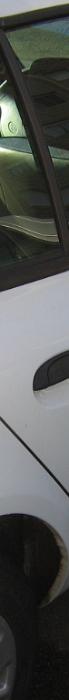 CLIO (10)