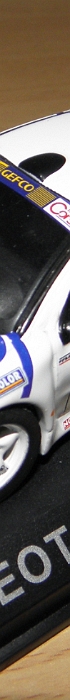 PEUGEOT (1)