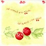PHOTO PRO (2)