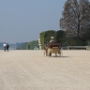VERSAILLES 2005 (8)