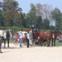 VERSAILLES 2005 (9)