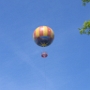 DISNEY (14)