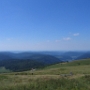 Honneck (1)