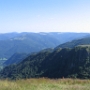 Honneck (11)
