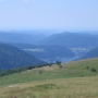 Honneck (2)