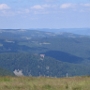 Honneck (5)