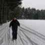 Ski (5)