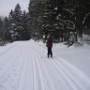 Ski (8)