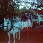 les mariages (14)