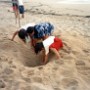 vacances (19)
