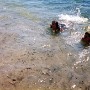 vacances (5)