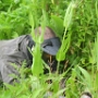Paintball (12)