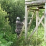 Paintball (17)