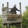 Paintball (4)