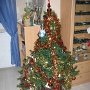 1ER NOEL (13)