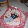 SUR MON TAPIS (1)