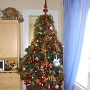 DECEMBRE (11)