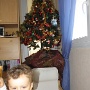 DECEMBRE (13)