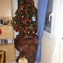 DECEMBRE (18)