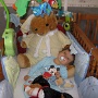 juillet 2010 (1)